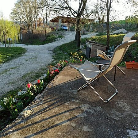 Agriturismo Casa Greppo San Venanzo Kültér fotó