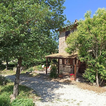 Agriturismo Casa Greppo San Venanzo Kültér fotó