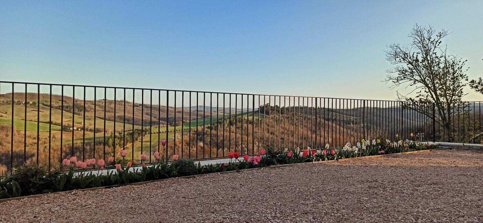 Agriturismo Casa Greppo San Venanzo Kültér fotó