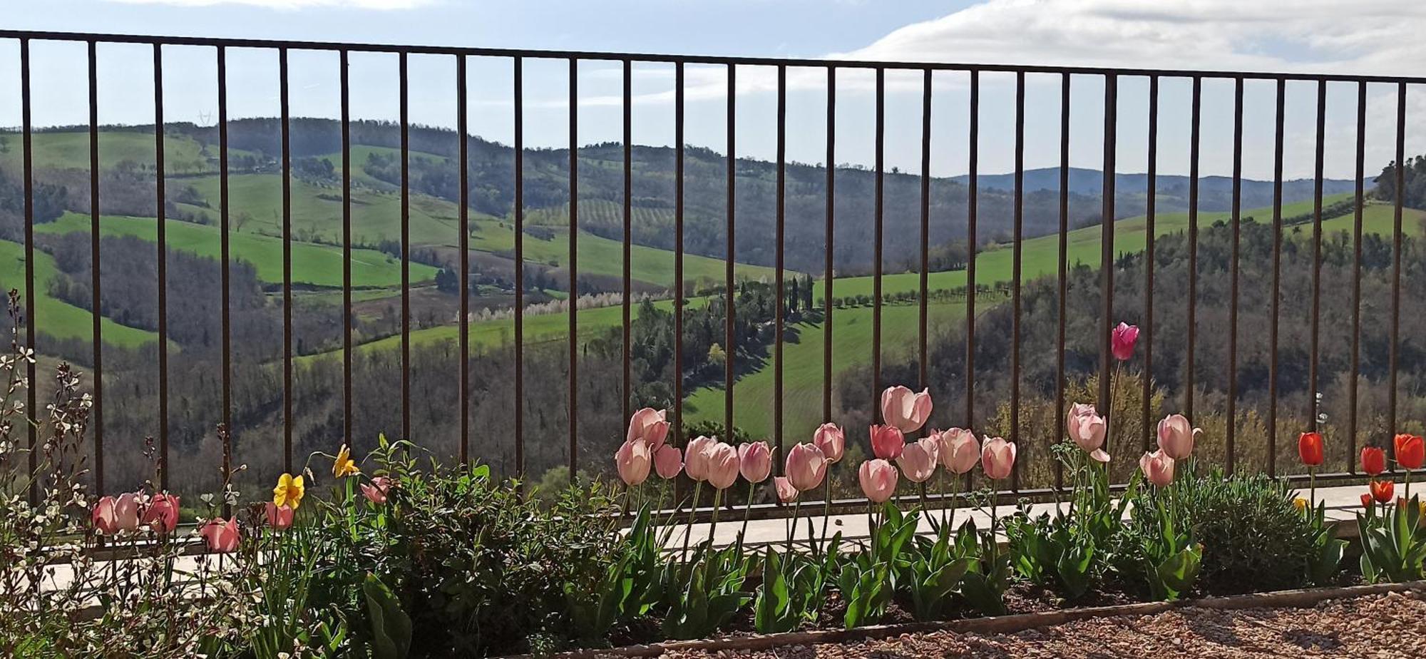 Agriturismo Casa Greppo San Venanzo Kültér fotó