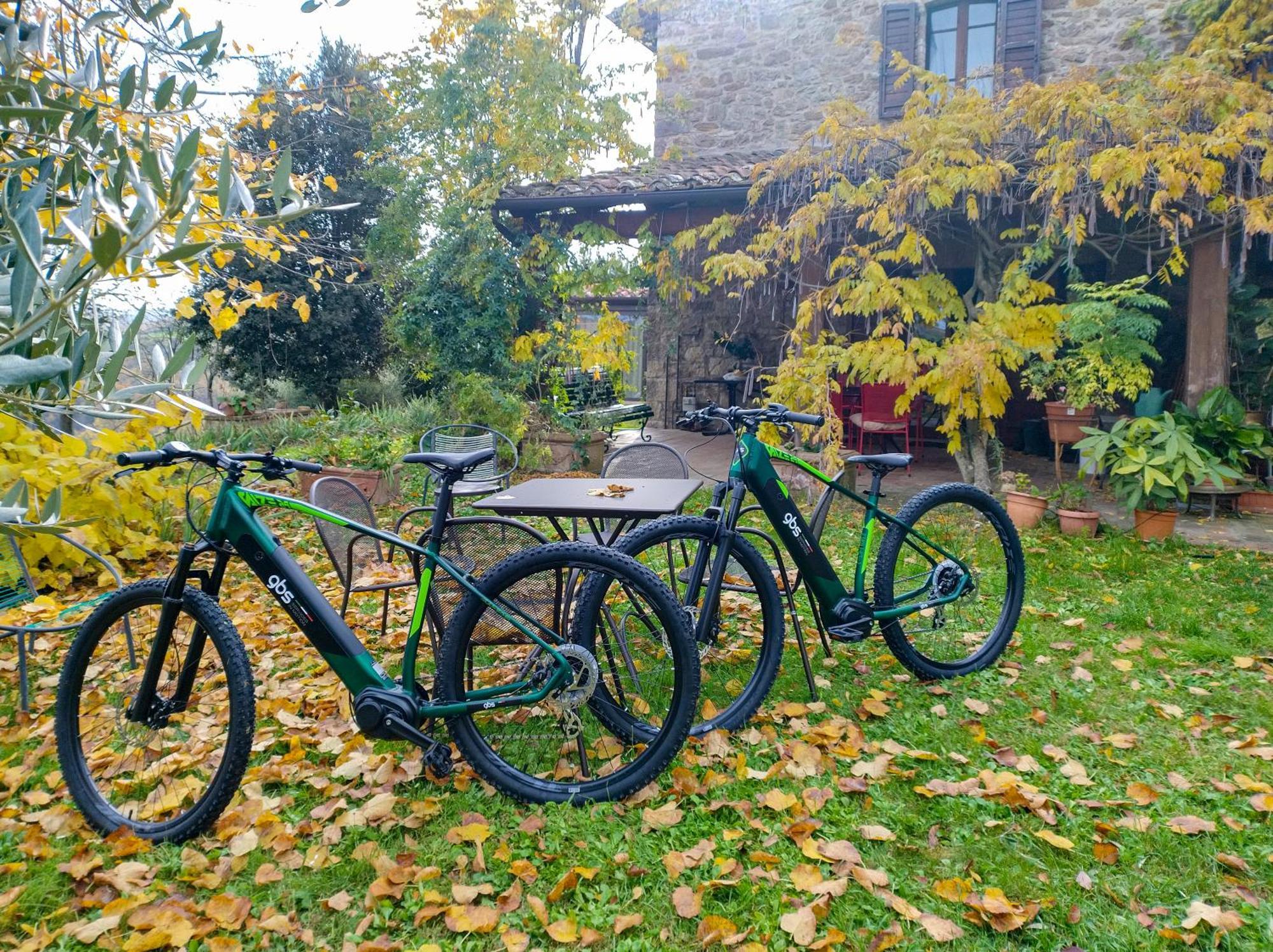Agriturismo Casa Greppo San Venanzo Kültér fotó
