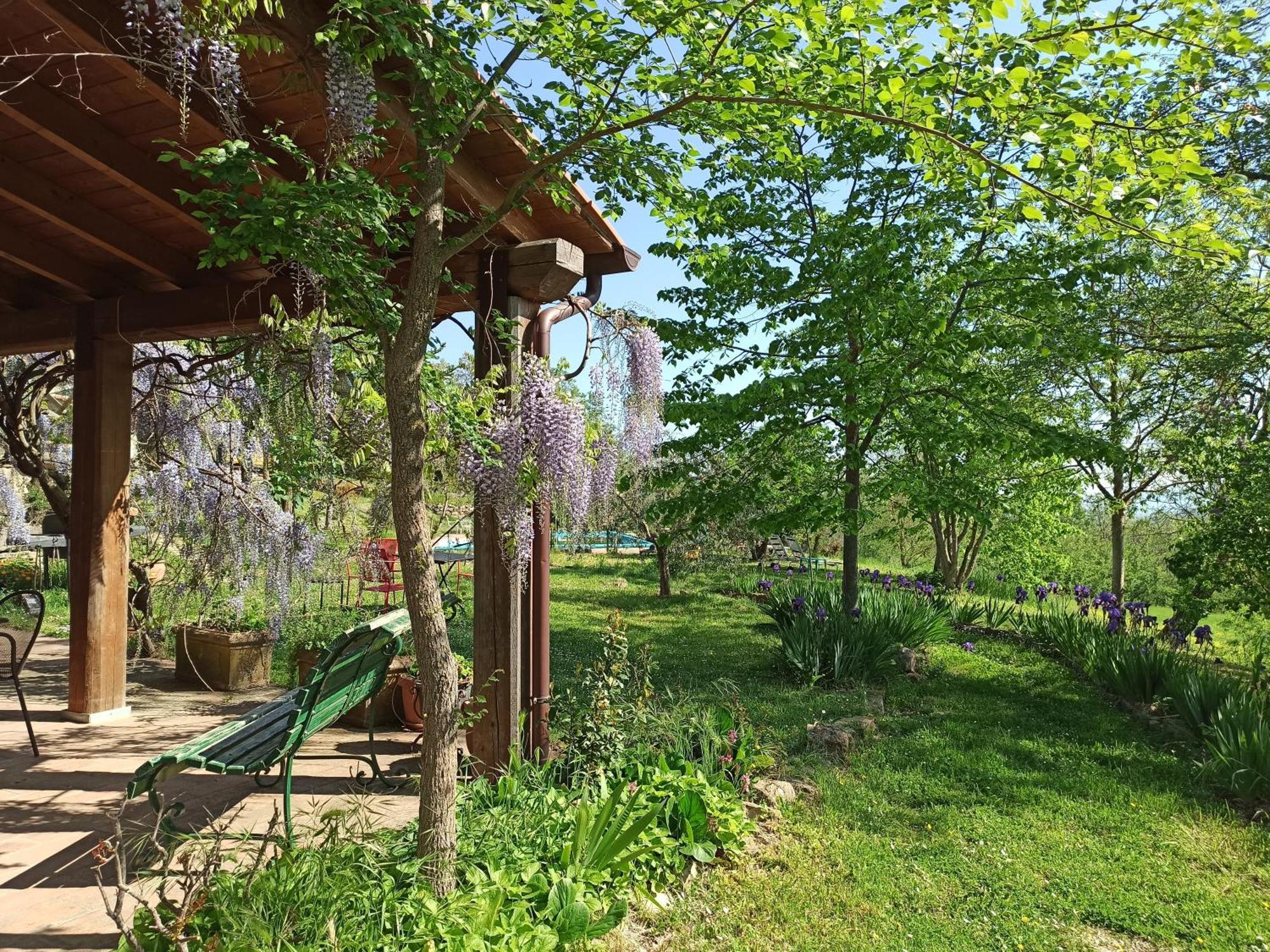 Agriturismo Casa Greppo San Venanzo Kültér fotó