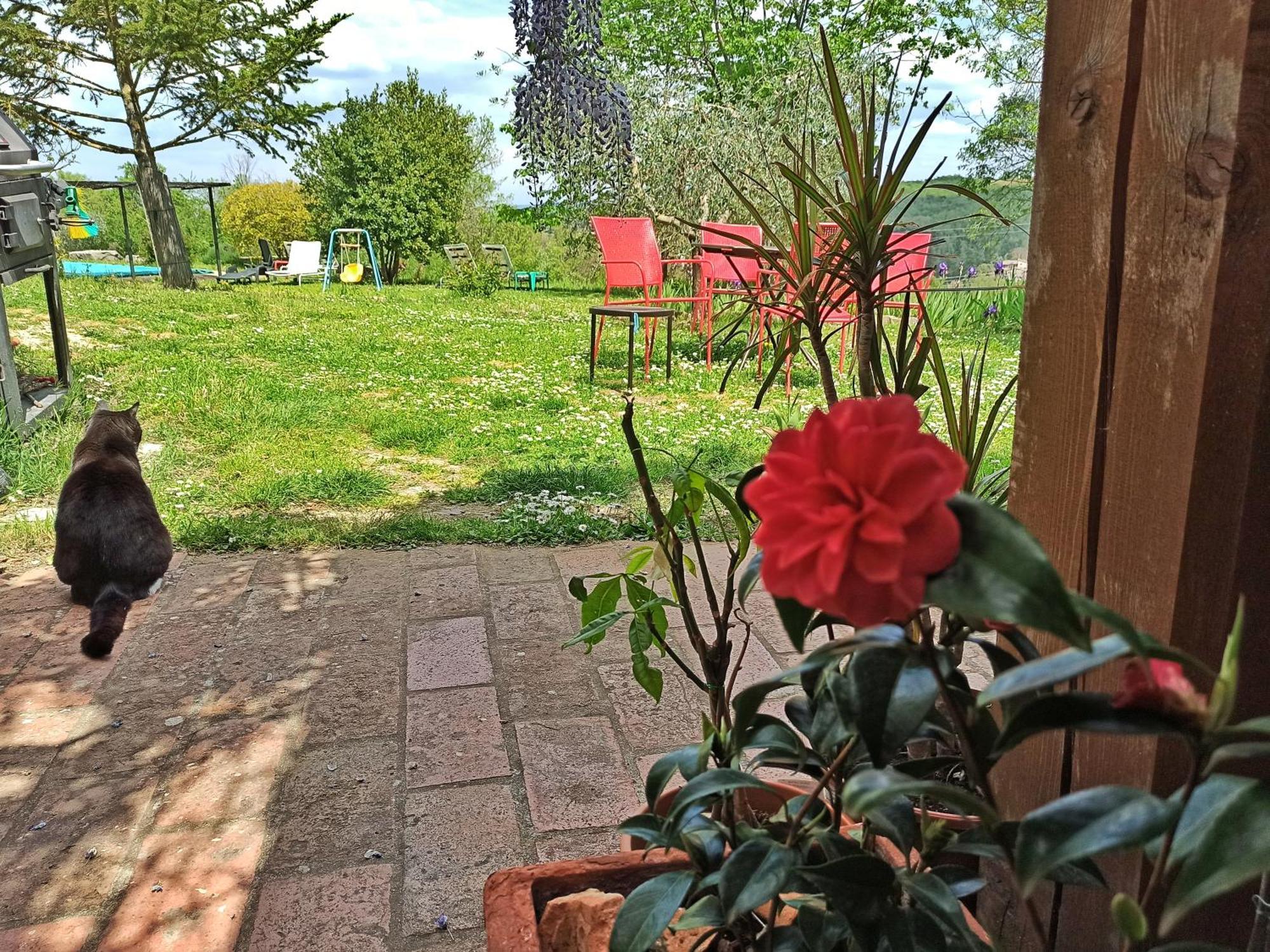 Agriturismo Casa Greppo San Venanzo Kültér fotó