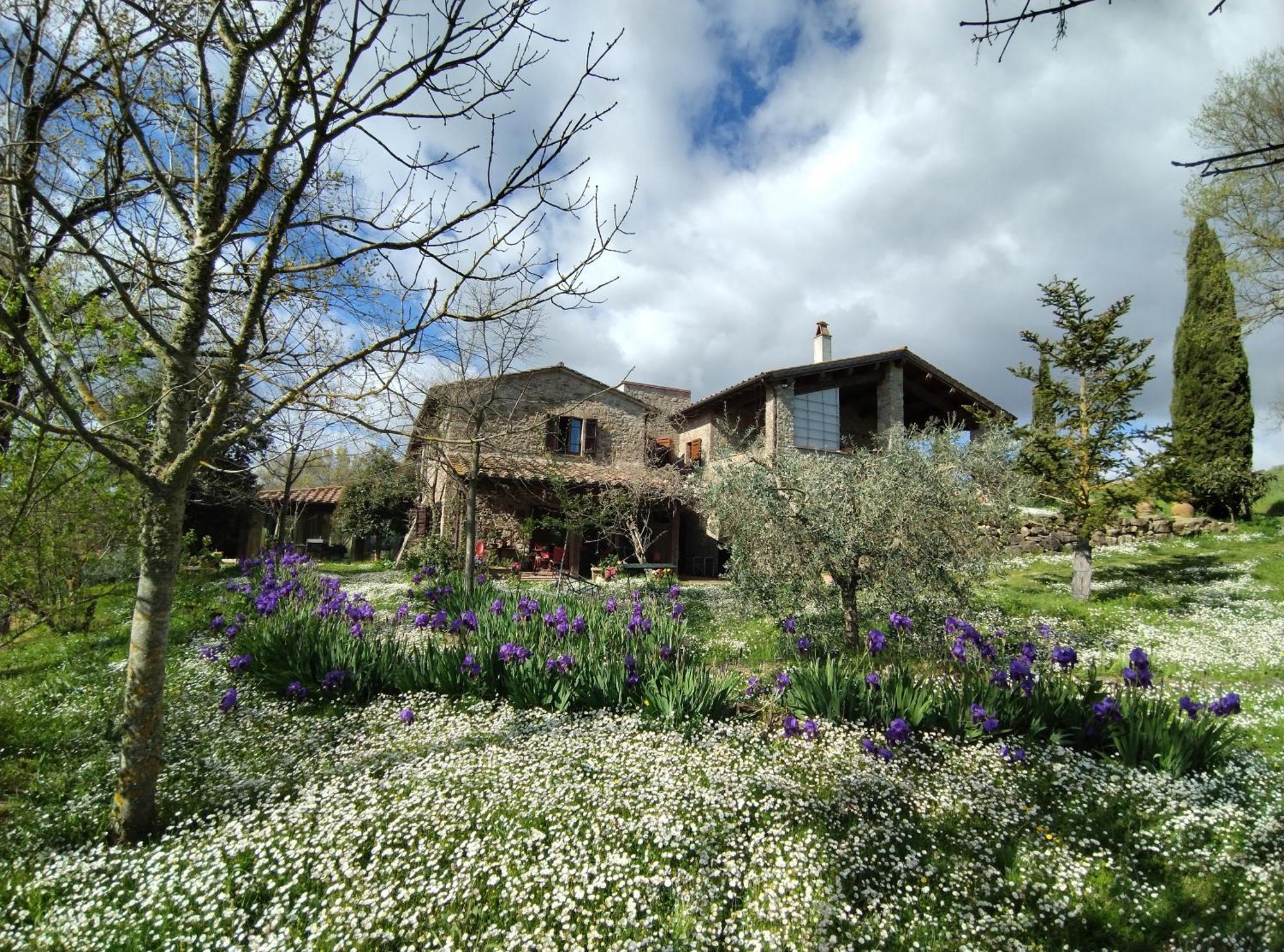 Agriturismo Casa Greppo San Venanzo Kültér fotó