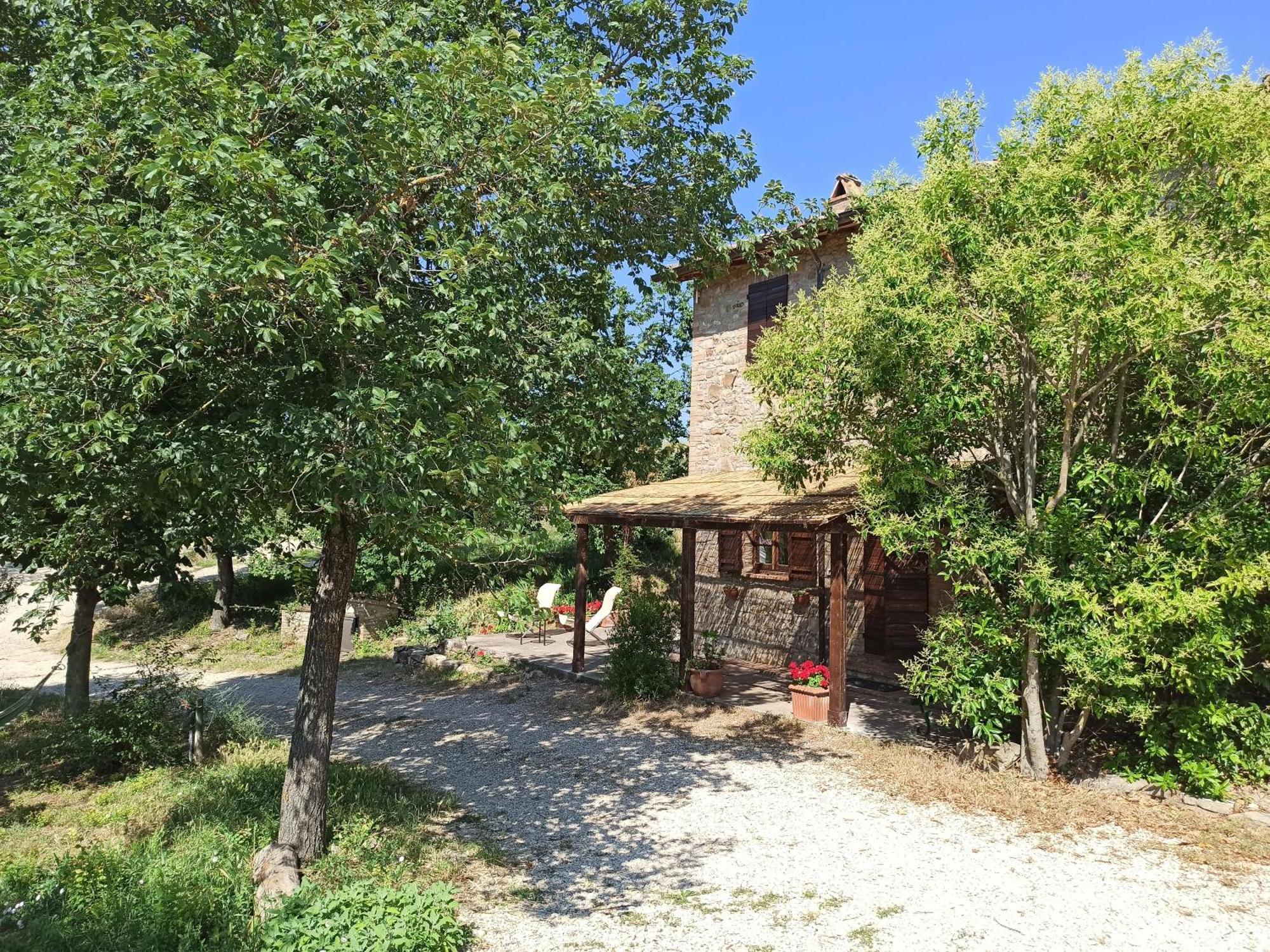 Agriturismo Casa Greppo San Venanzo Kültér fotó