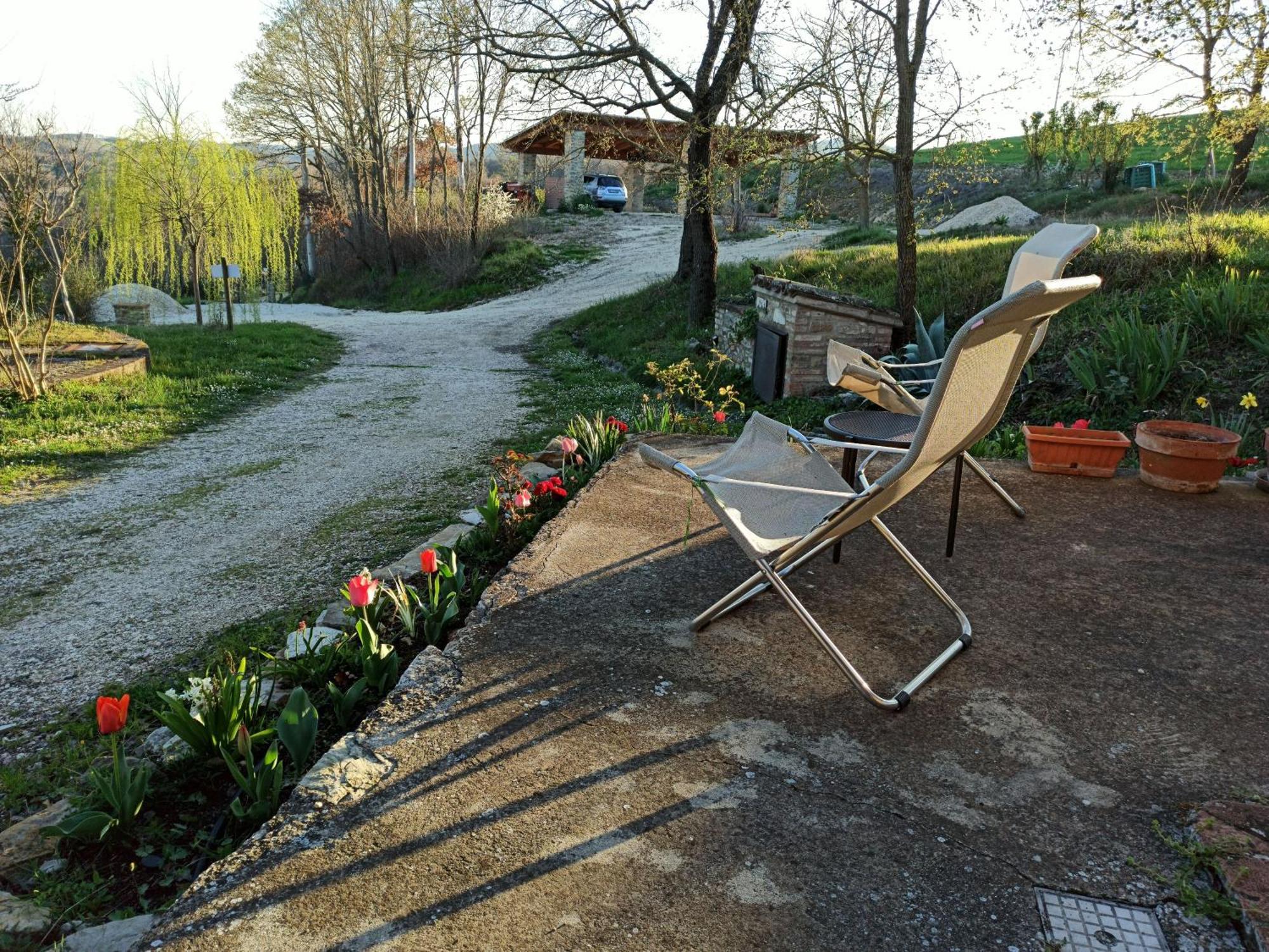 Agriturismo Casa Greppo San Venanzo Kültér fotó